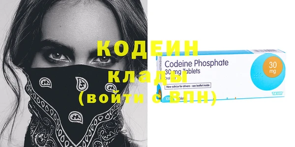 стаф Ельня