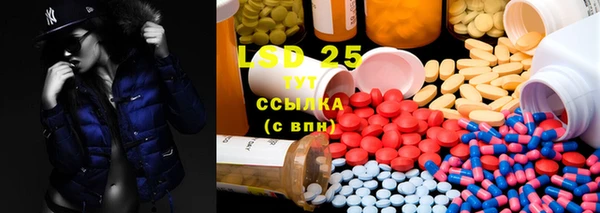стаф Ельня