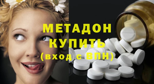 стаф Ельня