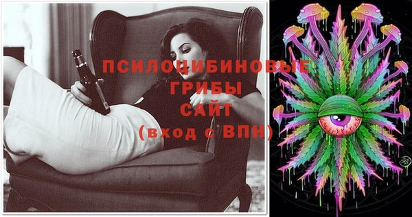 стаф Ельня