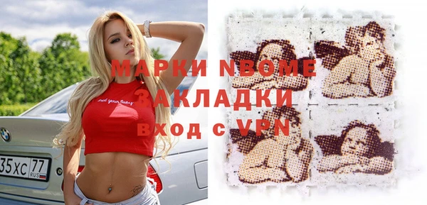 стаф Ельня