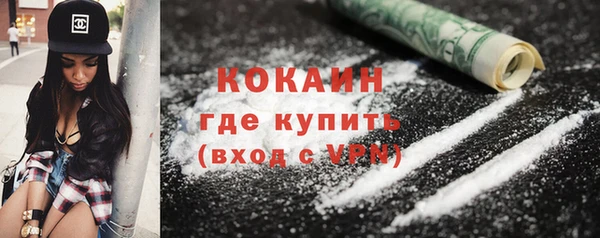 стаф Ельня