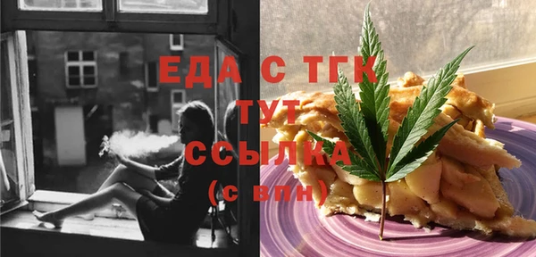 стаф Ельня
