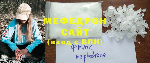 стаф Ельня