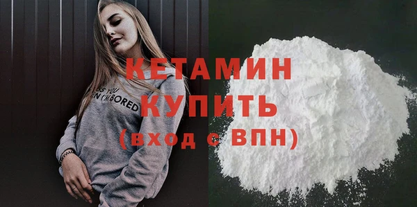 стаф Ельня