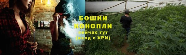 стаф Ельня