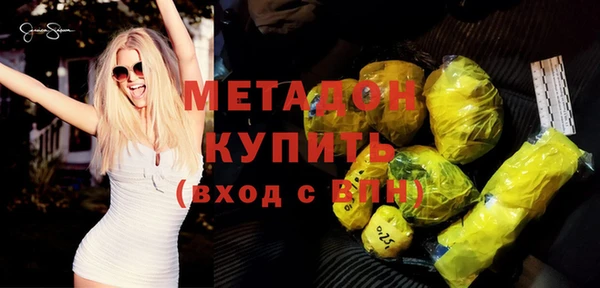 стаф Ельня