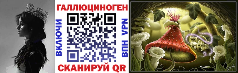 Галлюциногенные грибы прущие грибы  Купить где  Касимов 